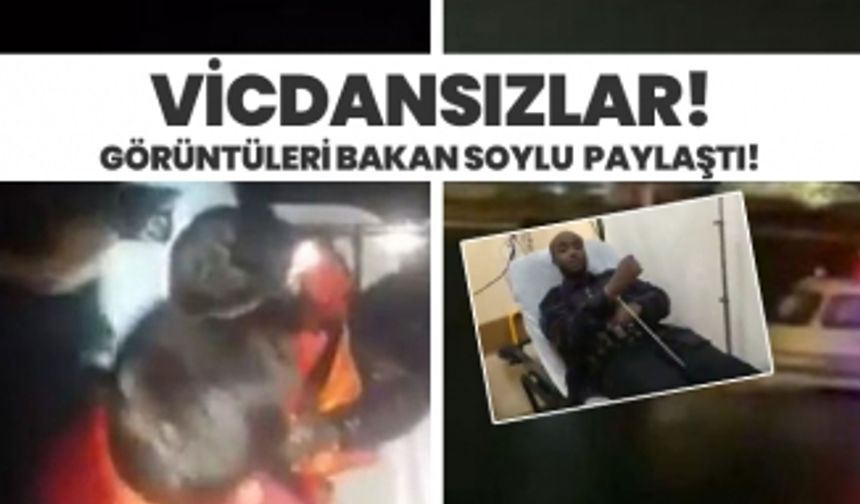 Vicdansızlar! Görüntüleri Bakan Soylu  paylaştı!