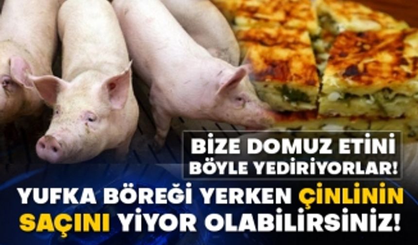 Bize domuz etini böyle yediriyorlar! Yufka böreği yerken Çinlinin saçını yiyor olabilirsiniz!