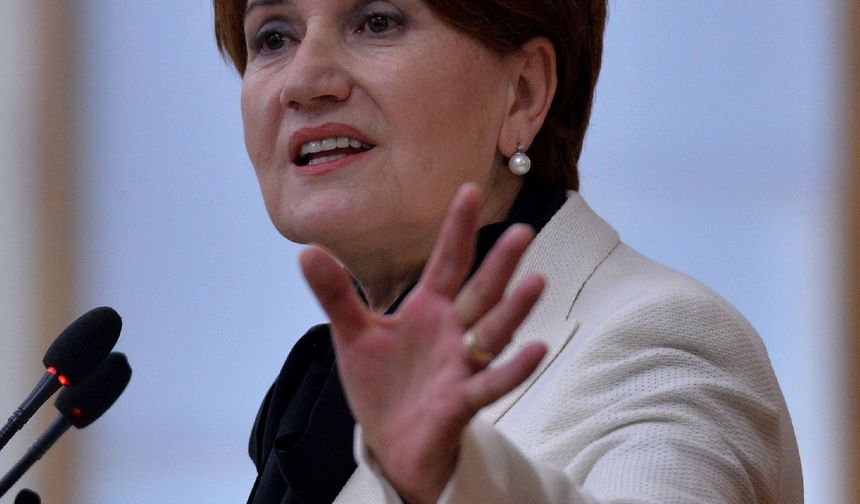 Ünlülerden Meral Akşener'e tepki