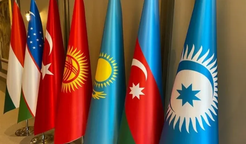 Türk Devletleri Başarılı Mı?