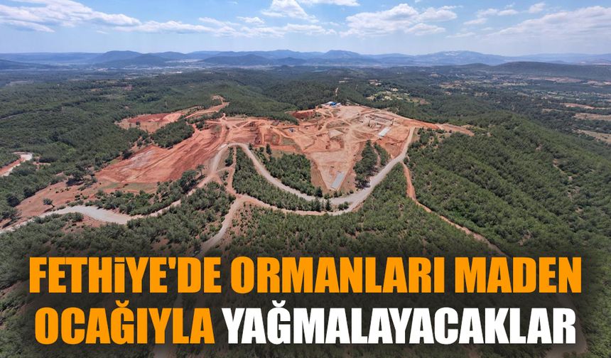 Fethiye'de ormanları maden ocağıyla yağmalayacaklar