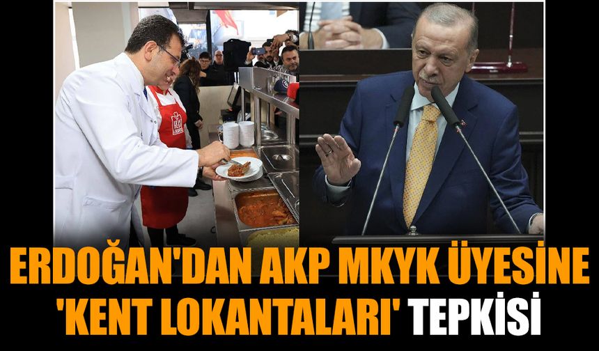 Erdoğan'dan AKP MKYK üyesine 'Kent Lokantaları' tepkisi