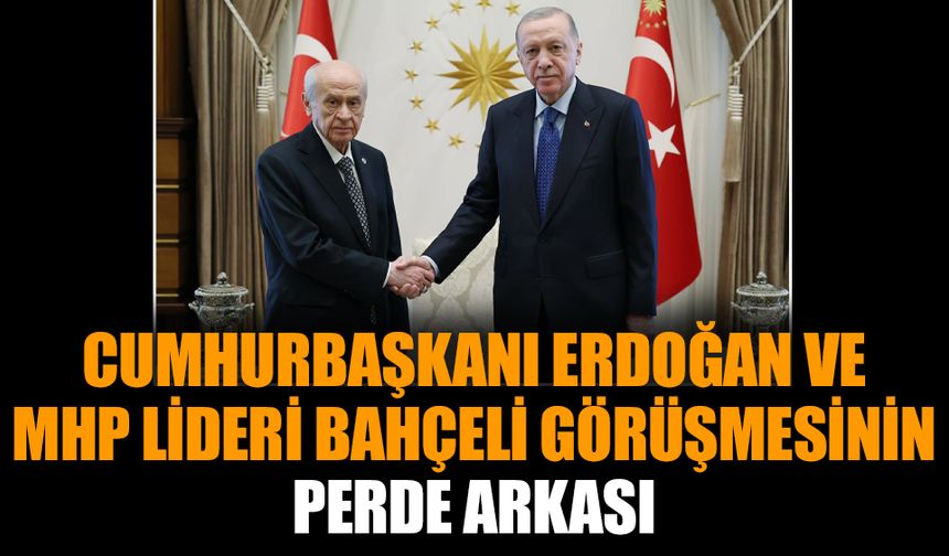 Cumhurbaşkanı Erdoğan ve MHP lideri Bahçeli görüşmesinin perde arkası