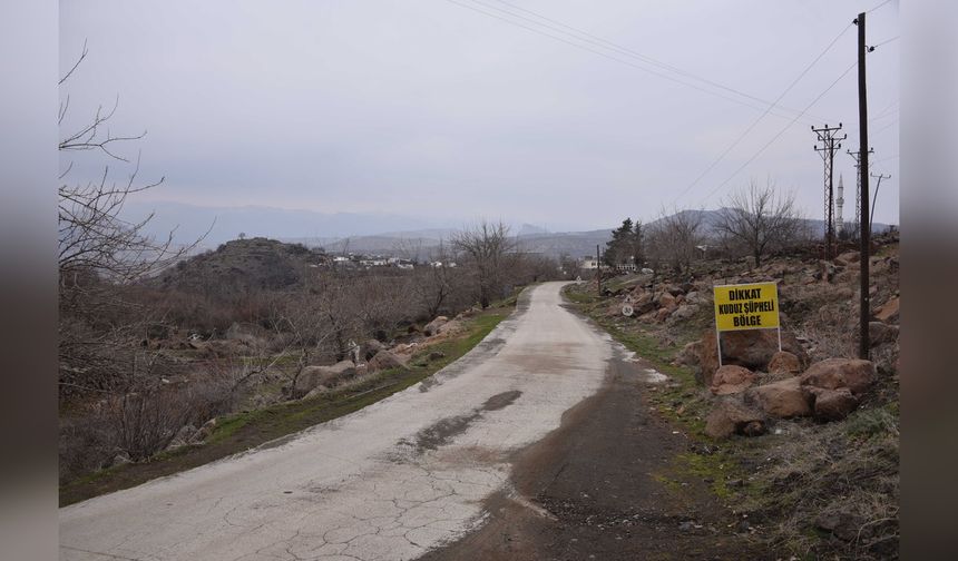 Kuduz Köpek Alarmı: Mahalle Karantinaya Alındı