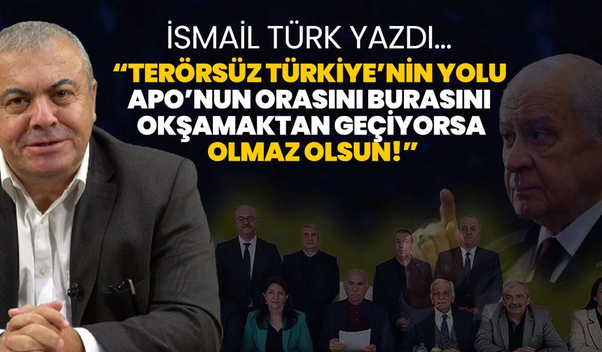 İsmail Türk yazdı... Bu nasıl üslup?