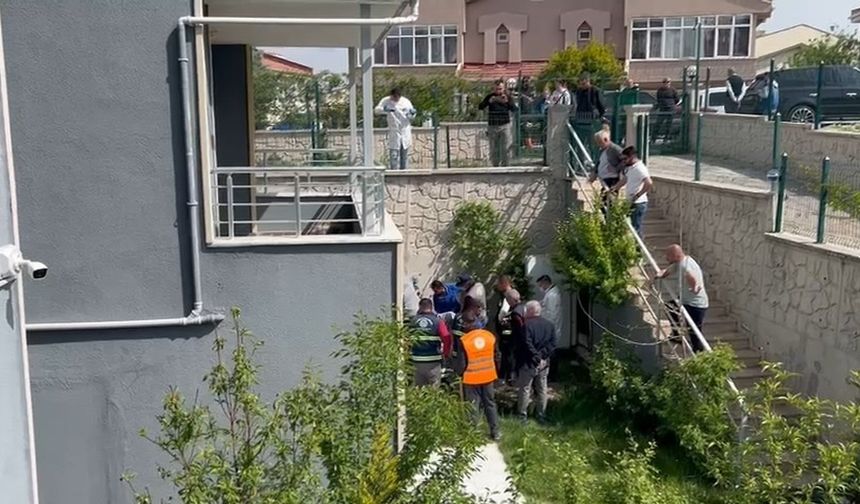 Doktorun Sahiplenip Öldürdüğü Köpek Sayısı 26'ya Yükseldi