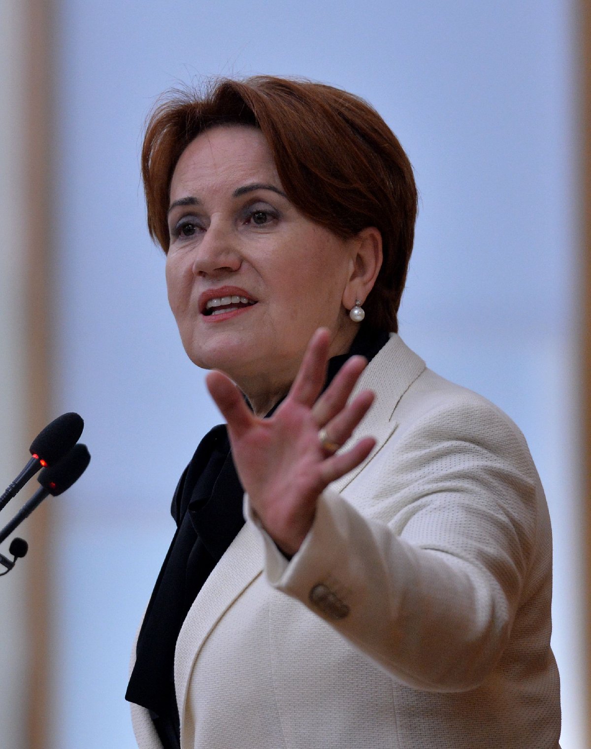 Ünlülerden Meral Akşener'e tepki