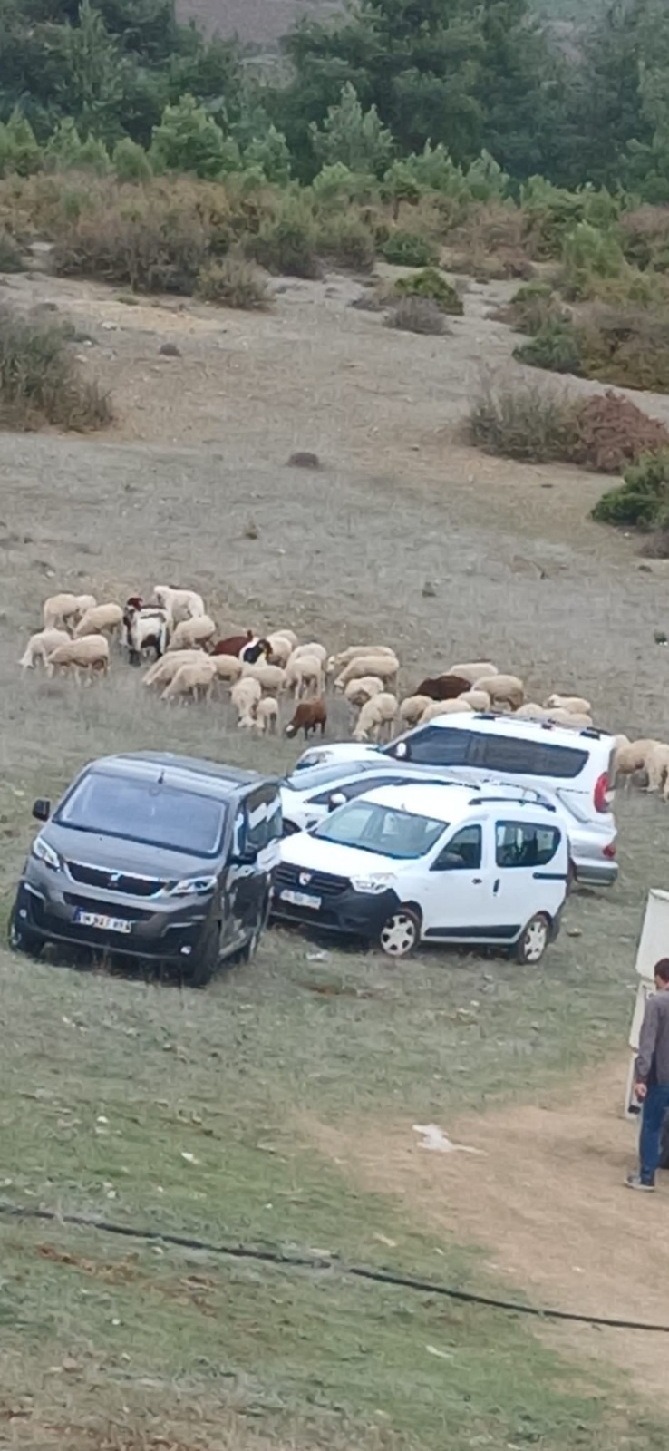 Çöreler Halkı Ayağa Kalktı (1)