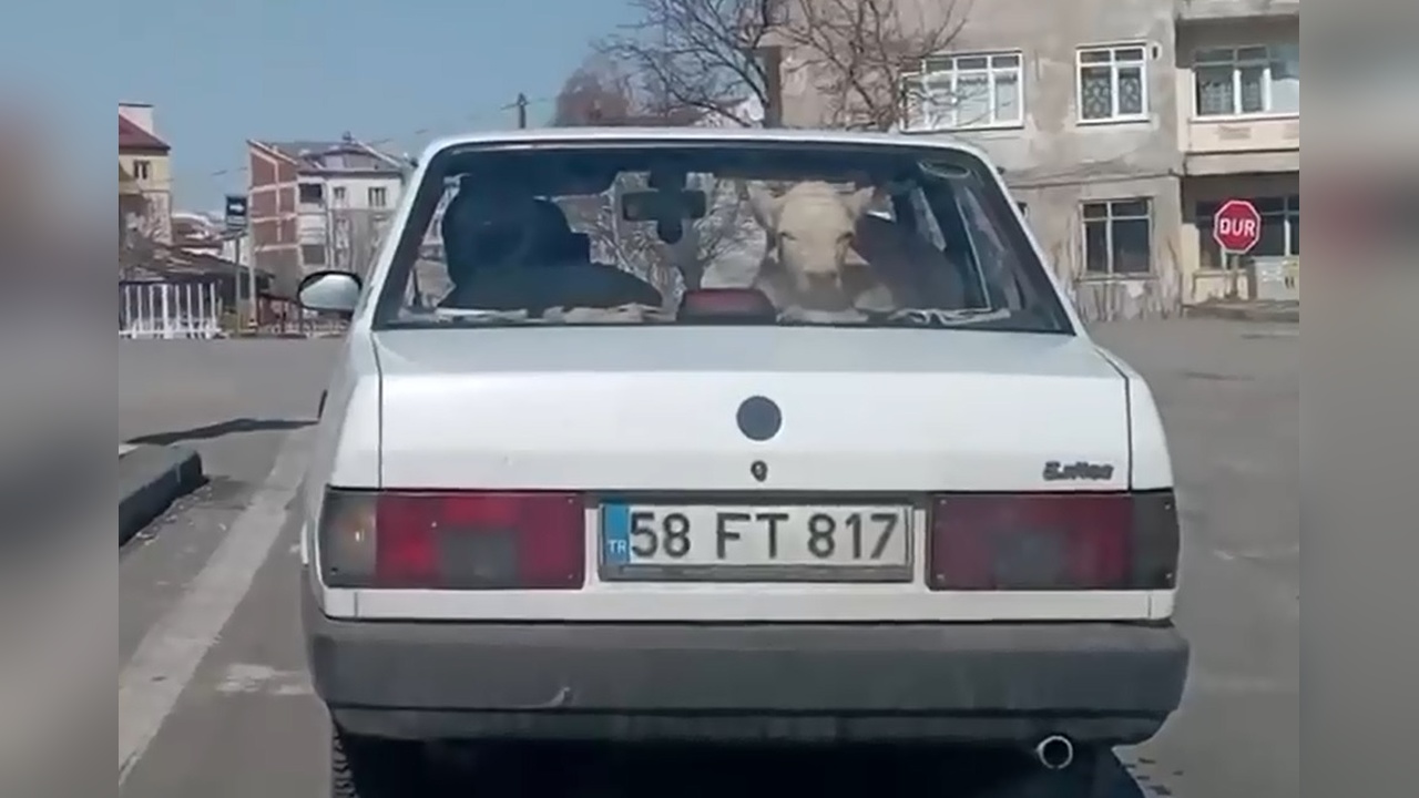 203964 2